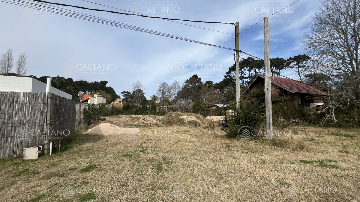 Marly - GoPunta - Portal Inmobiliario de Punta del Este - Maldonado