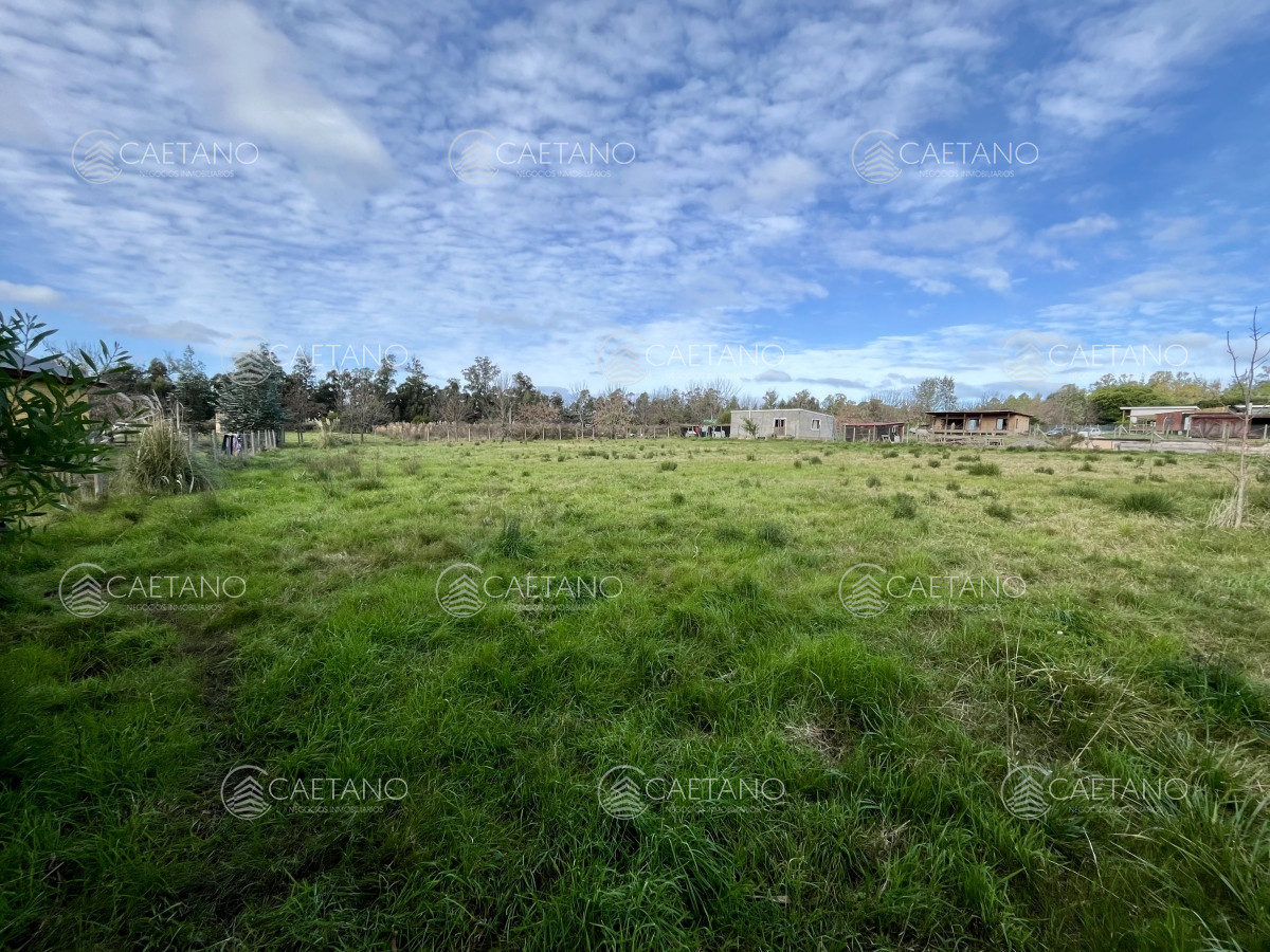 Miramar Acres - GoPunta - Portal Inmobiliario de Punta del Este - Maldonado