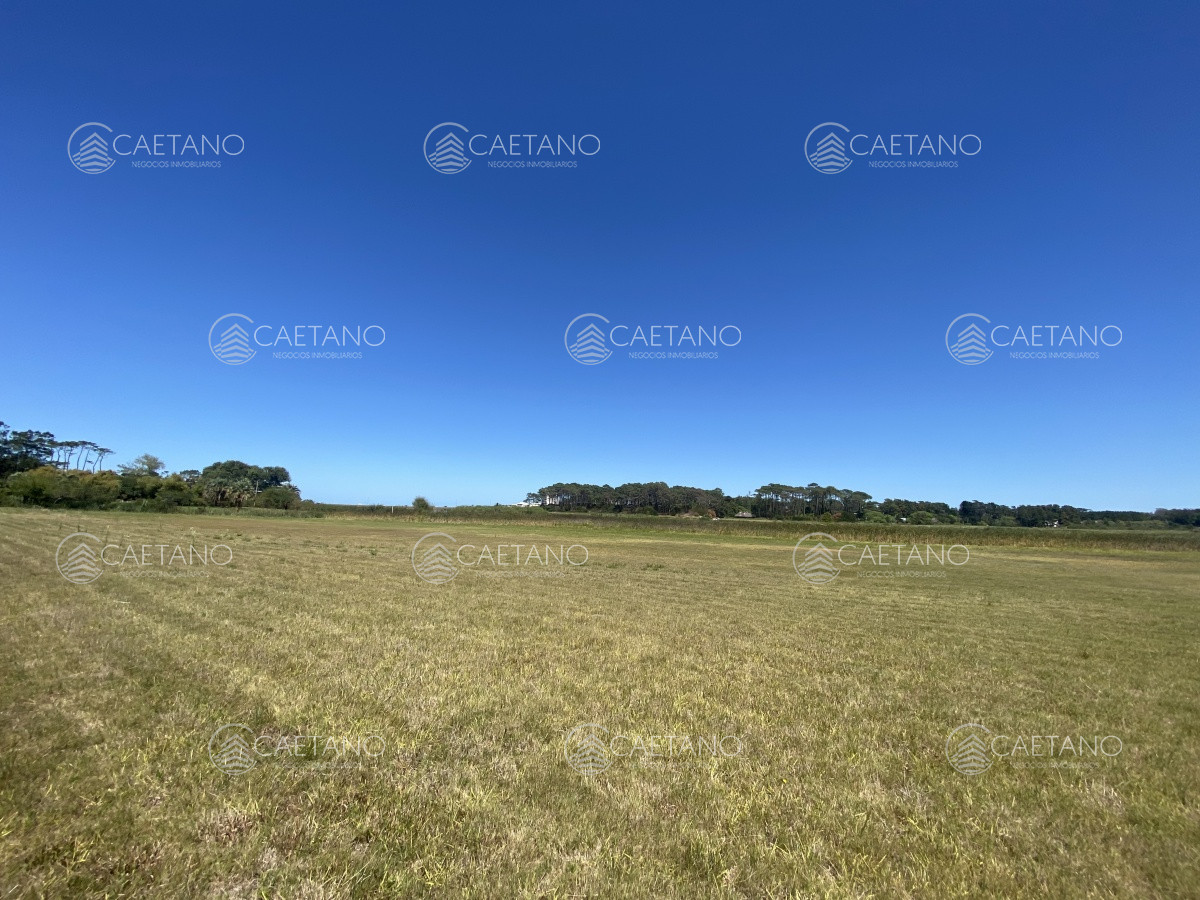 Pinares - GoPunta - Portal Inmobiliario de Punta del Este - Maldonado