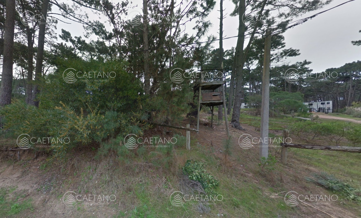 Montoya - GoPunta - Portal Inmobiliario de Punta del Este - Maldonado
