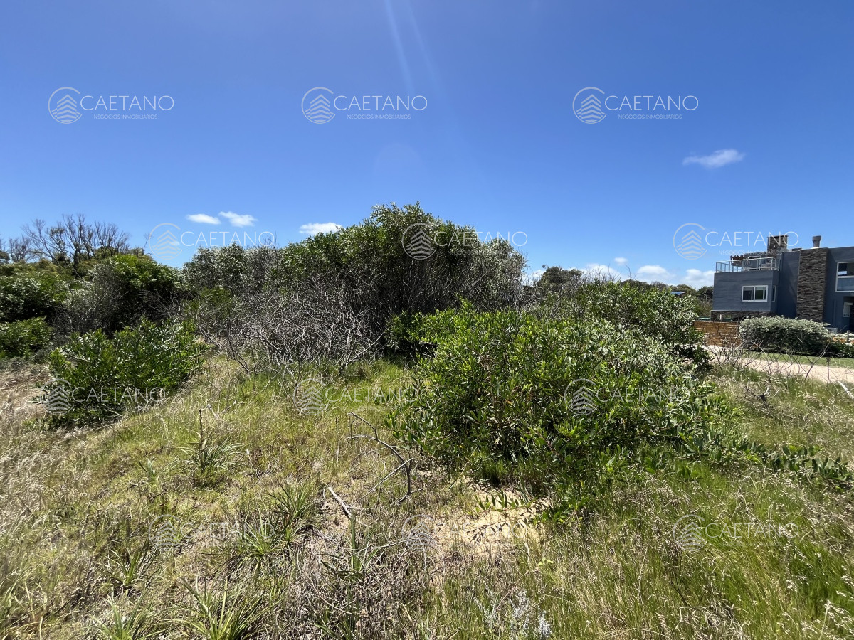 Balneario Buenos Aires - GoPunta - Portal Inmobiliario de Punta del Este - Maldonado