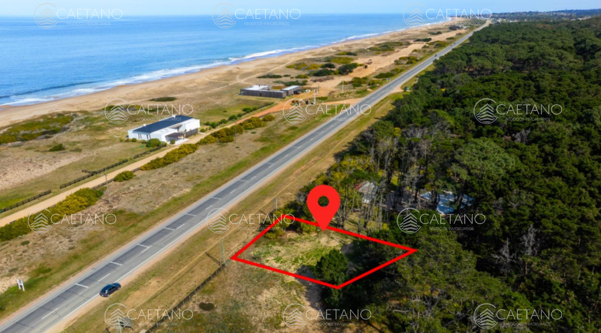 San Vicente - GoPunta - Portal Inmobiliario de Punta del Este - Maldonado