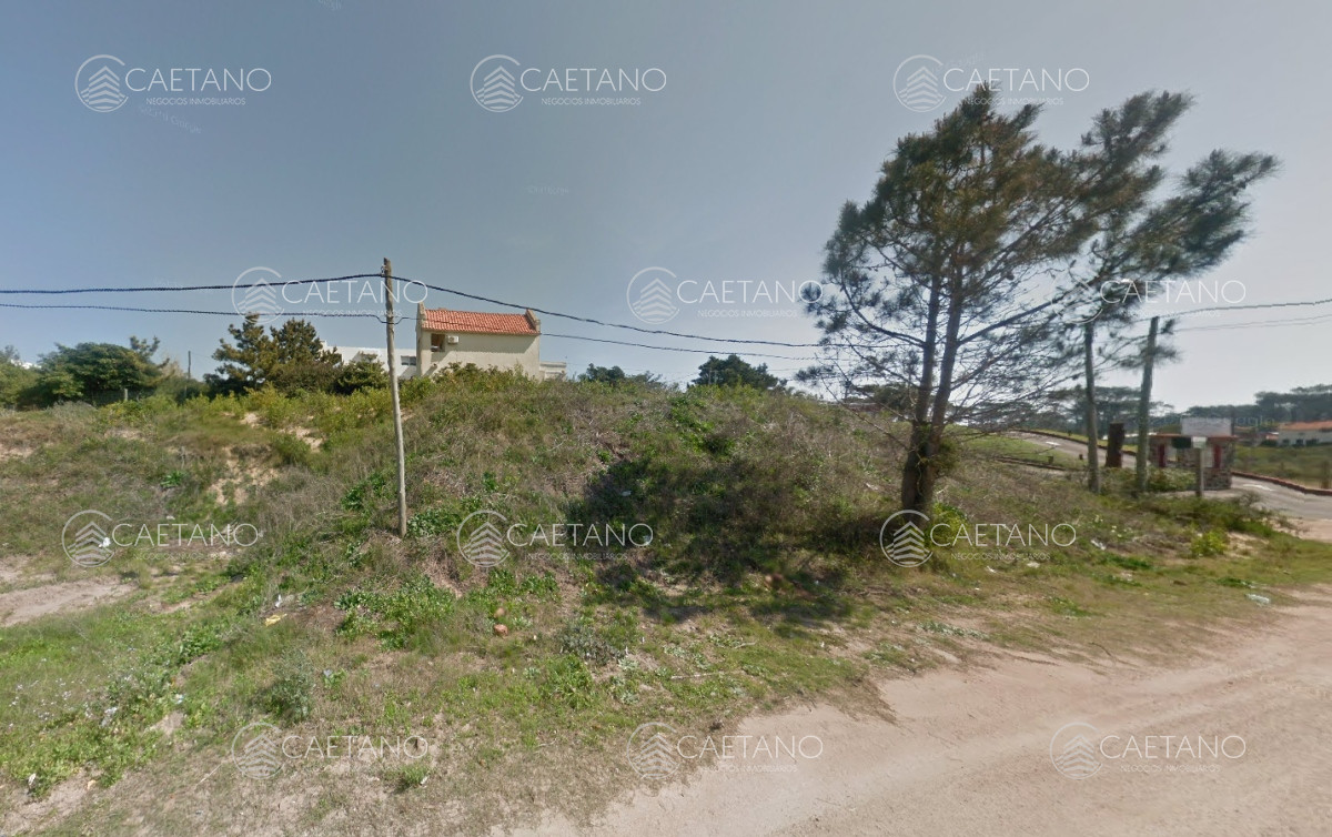 Tio Tom - GoPunta - Portal Inmobiliario de Punta del Este - Maldonado