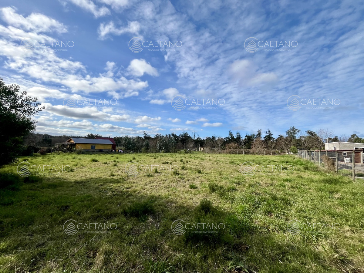 Miramar Acres - GoPunta - Portal Inmobiliario de Punta del Este - Maldonado