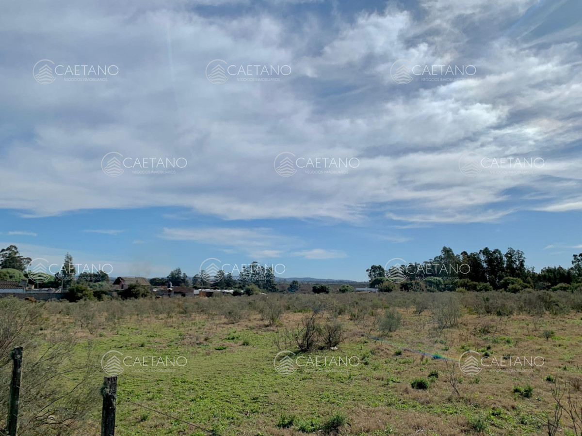 Ruta 9 - GoPunta - Portal Inmobiliario de Punta del Este - Maldonado