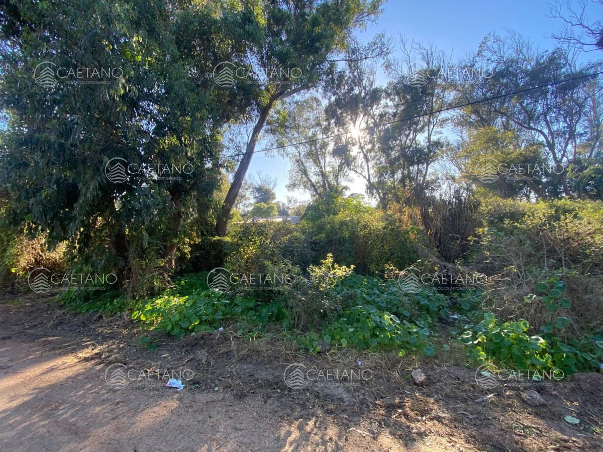 Balneario Buenos Aires - GoPunta - Portal Inmobiliario de Punta del Este - Maldonado