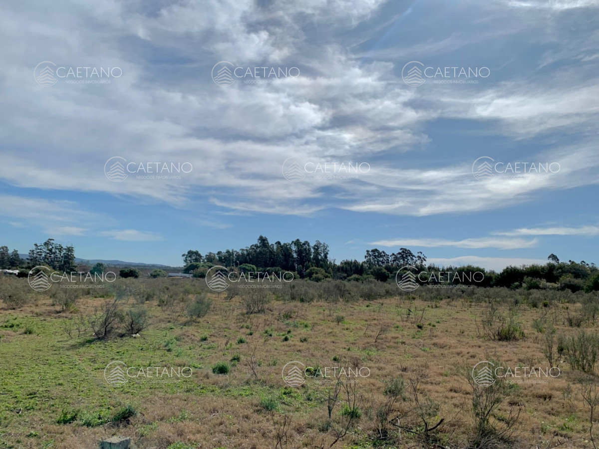 Ruta 9 - GoPunta - Portal Inmobiliario de Punta del Este - Maldonado