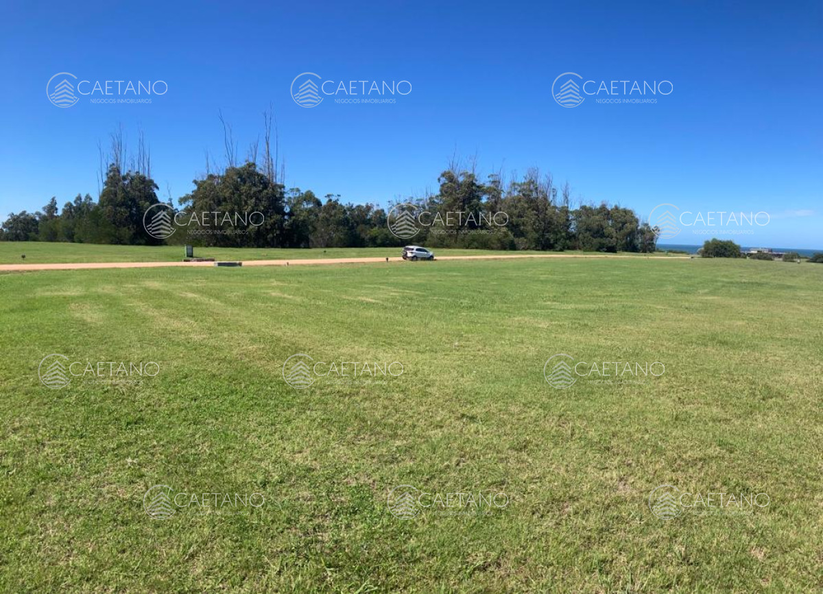 Las Garzas - GoPunta - Portal Inmobiliario de Punta del Este - Maldonado