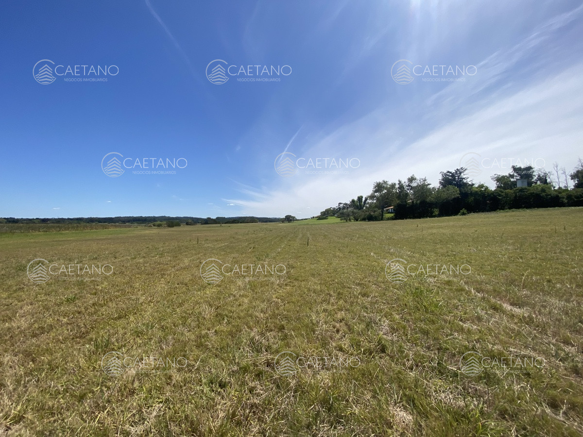 Pinares - GoPunta - Portal Inmobiliario de Punta del Este - Maldonado