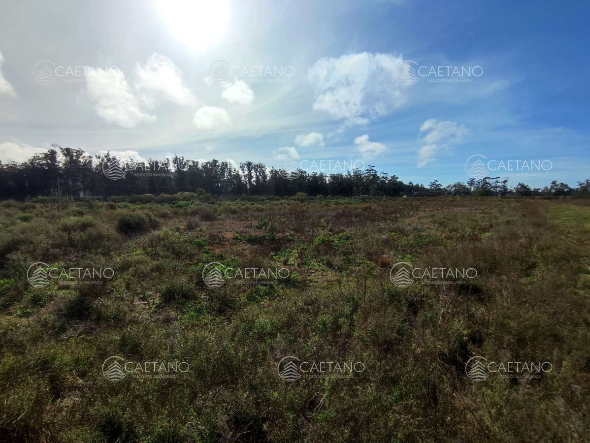 Camino Eguzquiza - GoPunta - Portal Inmobiliario de Punta del Este - Maldonado