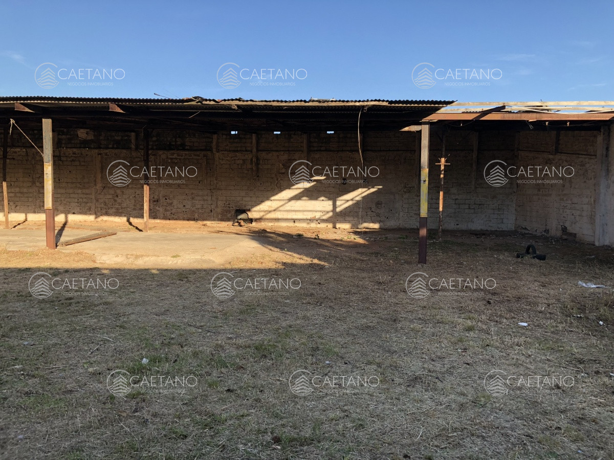 Maldonado - GoPunta - Portal Inmobiliario de Punta del Este - Maldonado