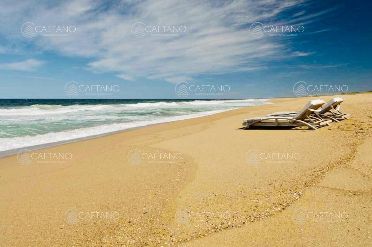 Las Garzas - GoPunta - Portal Inmobiliario de Punta del Este - Maldonado