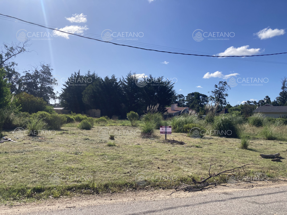 Marly - GoPunta - Portal Inmobiliario de Punta del Este - Maldonado