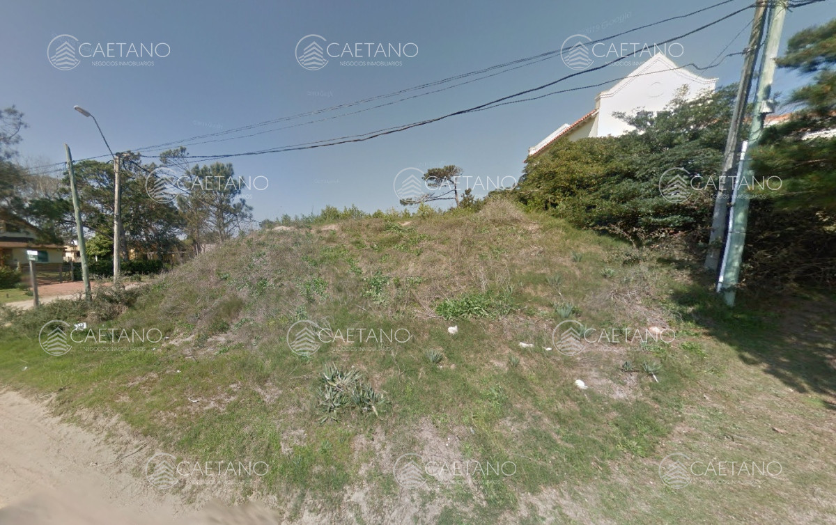 Tio Tom - GoPunta - Portal Inmobiliario de Punta del Este - Maldonado