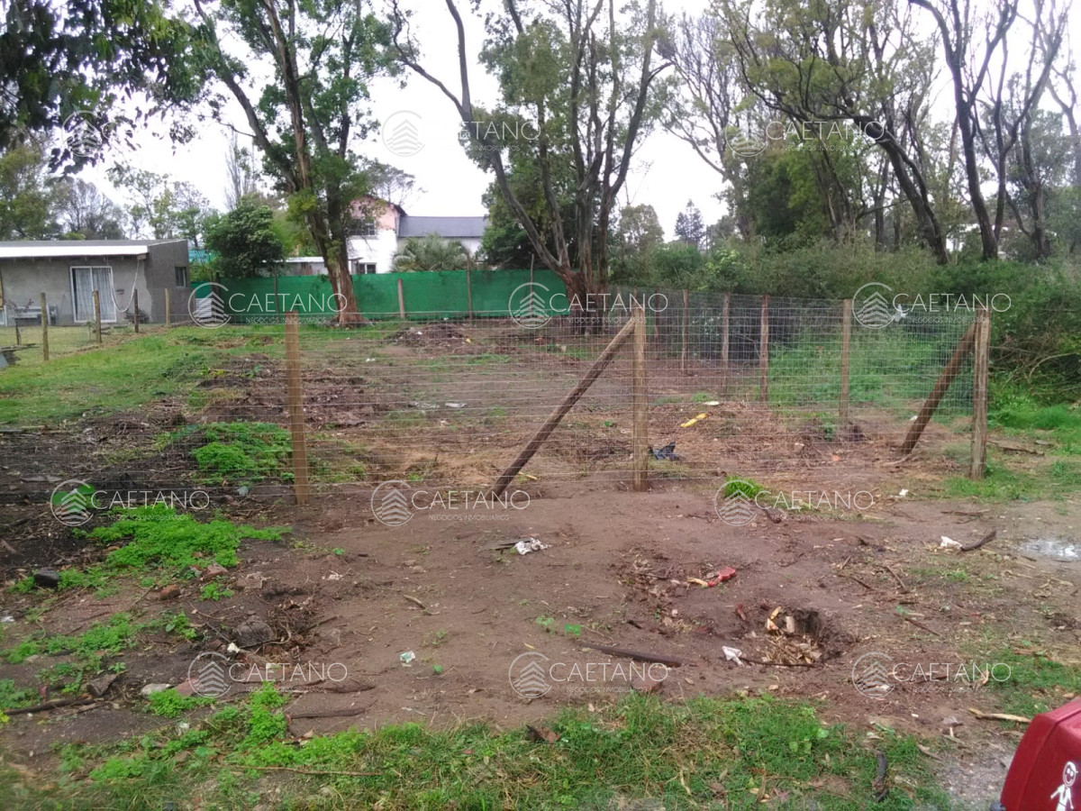 Balneario Buenos Aires - GoPunta - Portal Inmobiliario de Punta del Este - Maldonado