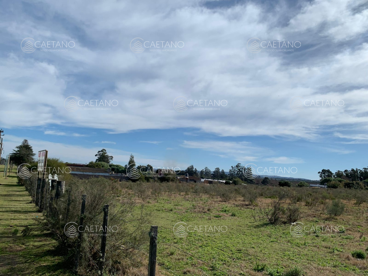 Ruta 9 - GoPunta - Portal Inmobiliario de Punta del Este - Maldonado