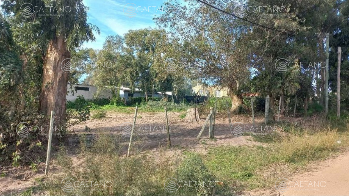 Balneario Buenos Aires - GoPunta - Portal Inmobiliario de Punta del Este - Maldonado