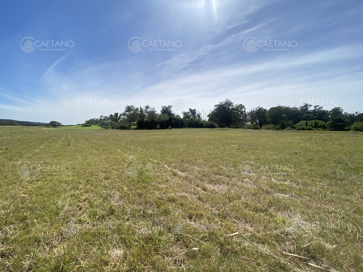 Pinares - GoPunta - Portal Inmobiliario de Punta del Este - Maldonado