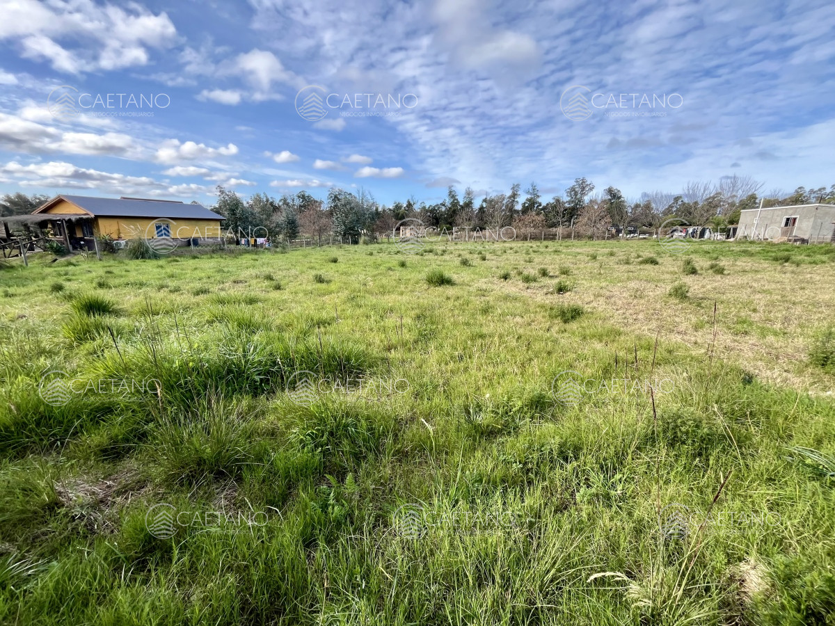 Miramar Acres - GoPunta - Portal Inmobiliario de Punta del Este - Maldonado