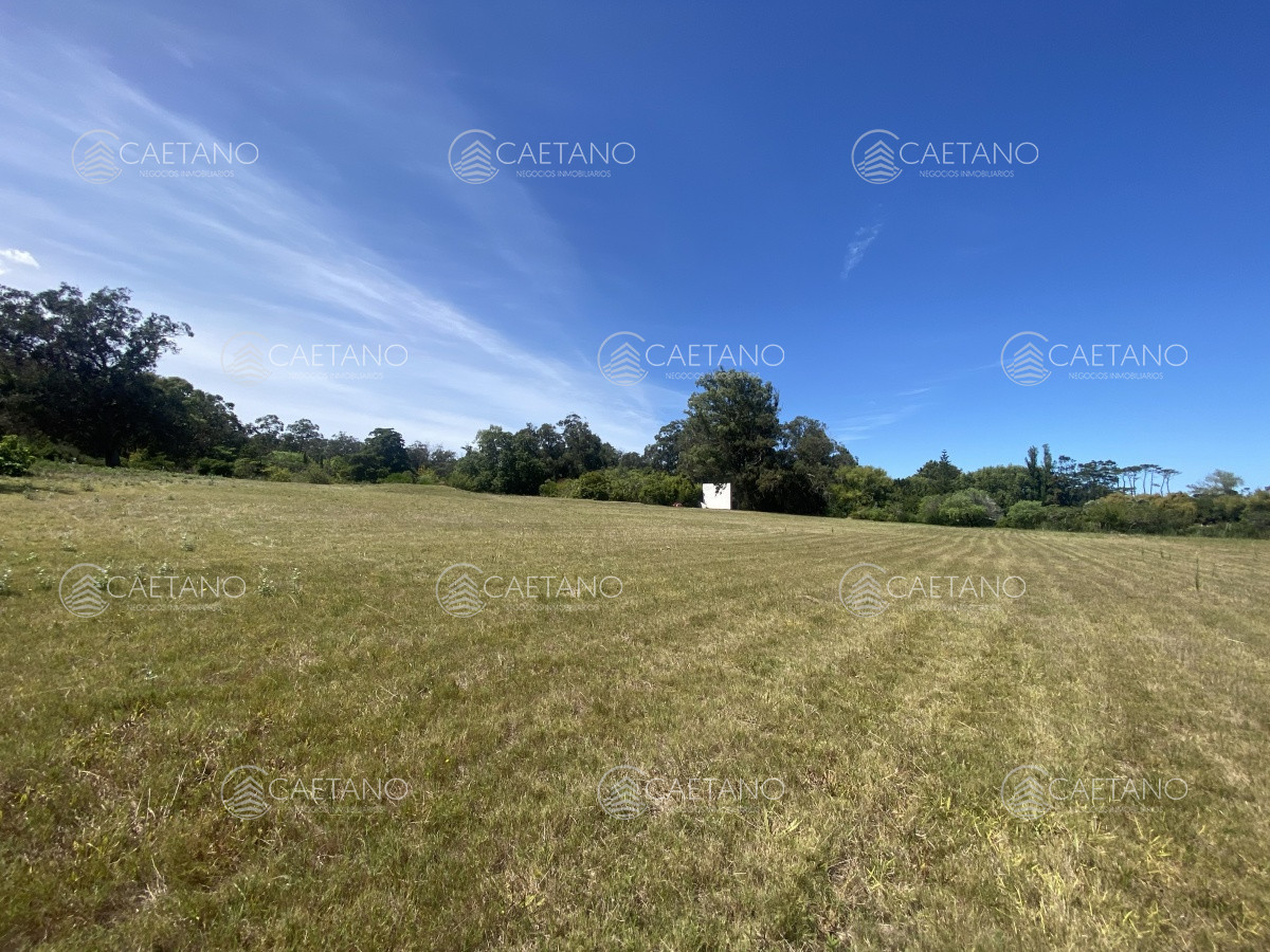 Pinares - GoPunta - Portal Inmobiliario de Punta del Este - Maldonado