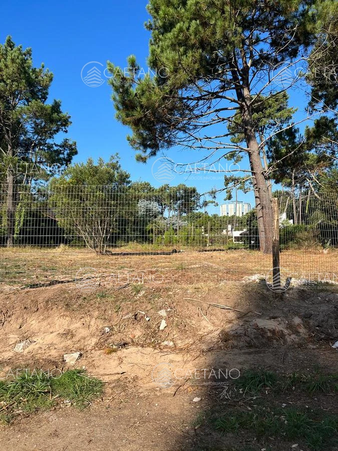 Lugano - GoPunta - Portal Inmobiliario de Punta del Este - Maldonado