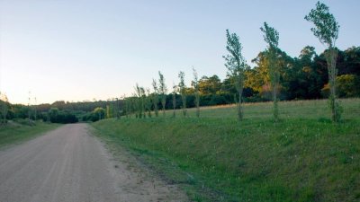 Terreno en venta Punta del Este