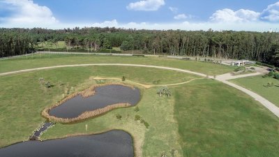 Venta terrenos zona casas Caracoles Ciudad Jardín