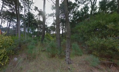 Venta Terreno en Monoya Gran Oportunidad