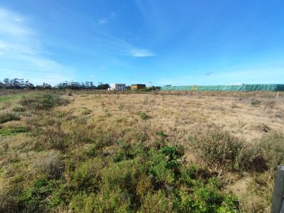 Venta terreno. La barra. 