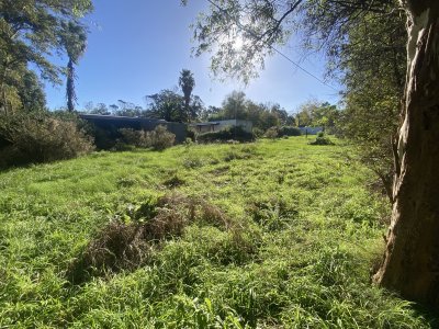 Venta terreno. El tesoro, La Barra 