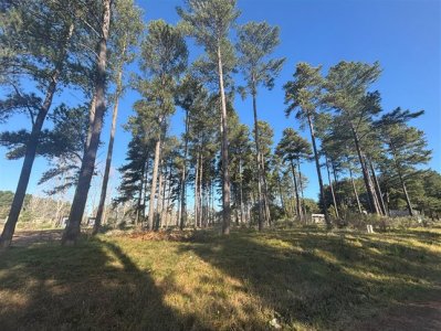 Terreno en venta en Chacras del Pinar