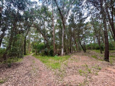 Venta terreno en Burnett, Maldonado - 1730m2