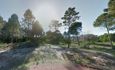 OPORTUNIDAD PARA DESARROLLO - BURNET