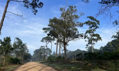 Venta terreno Maldonado