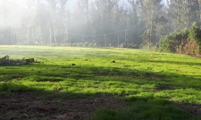 Espectacular Terreno en Rincón del Indio - Punta del Este