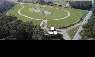 Venta terrenos zona torres Caracoles Ciudad Jardin