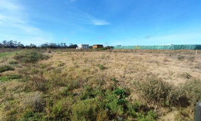 Venta terreno. La barra.