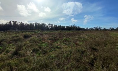 Venta terreno el tesoro, la barra.