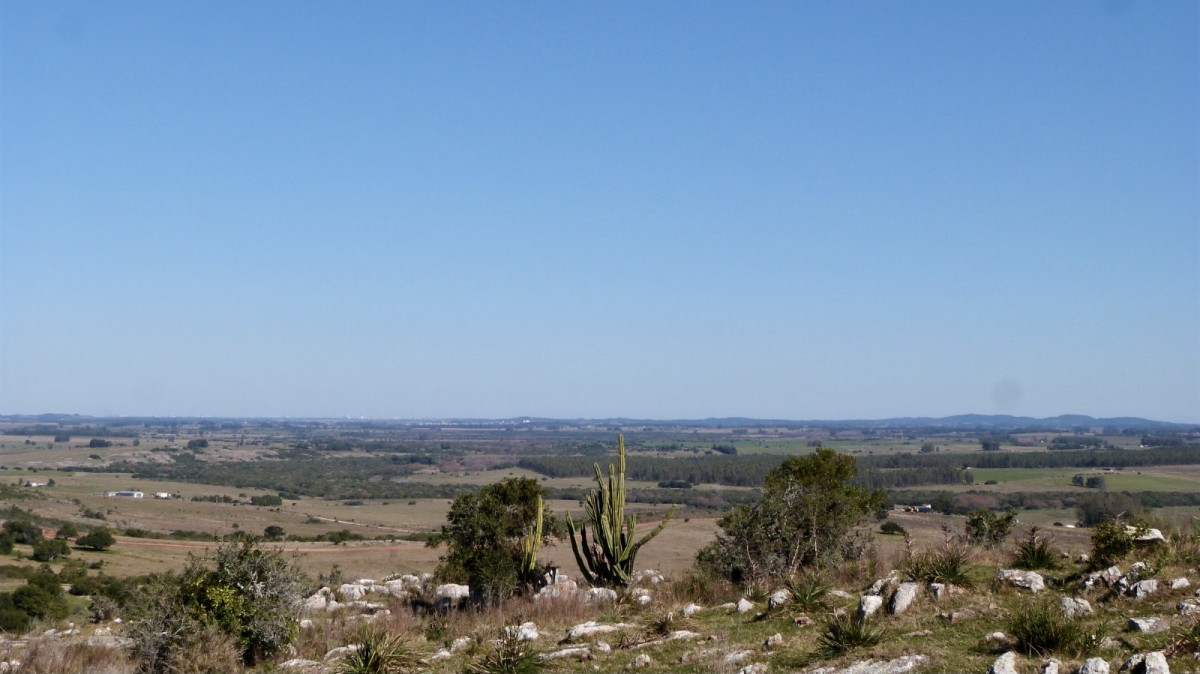 Venta Terreno - Ruta 39 