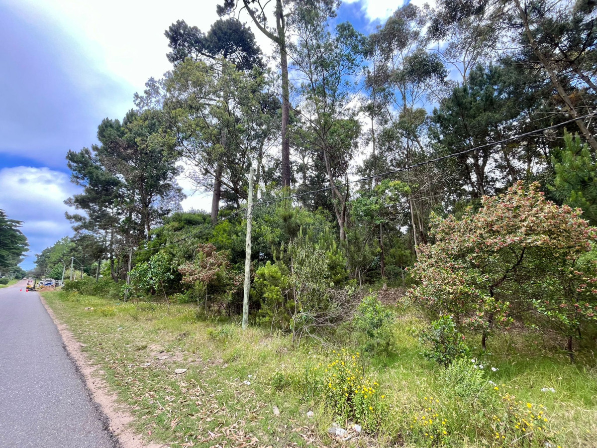 Venta Terreno