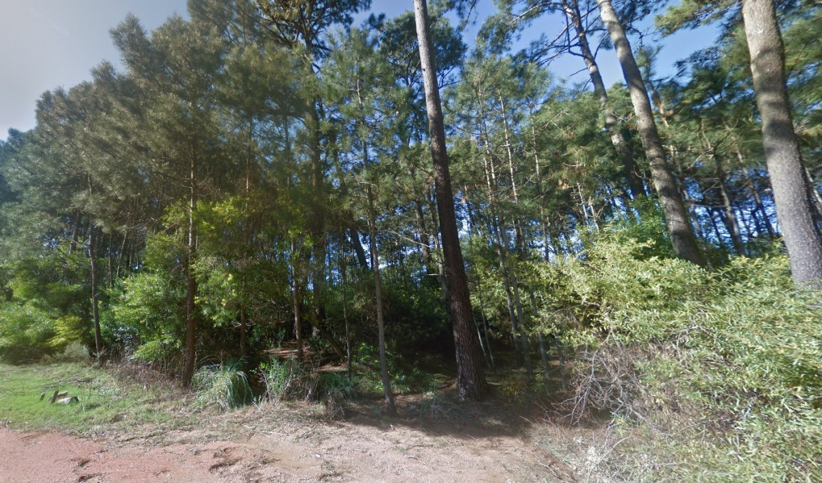 Venta Terreno