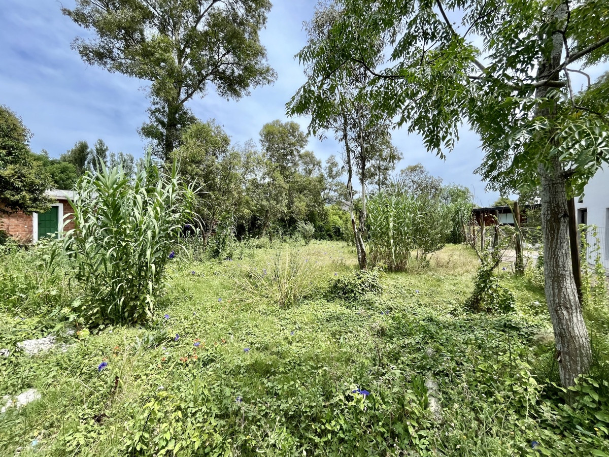 Venta Terreno