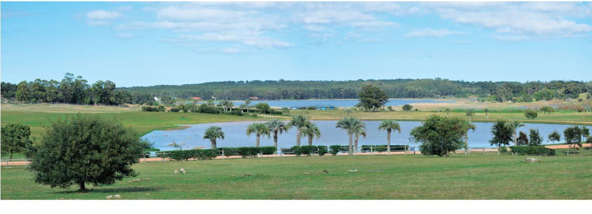Venta terreno Laguna Estate