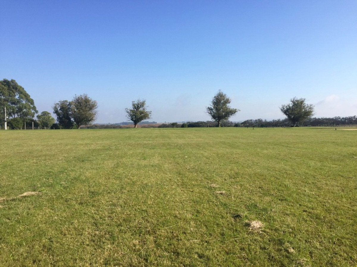 Venta Terreno - 5000 mts - El Quijote 