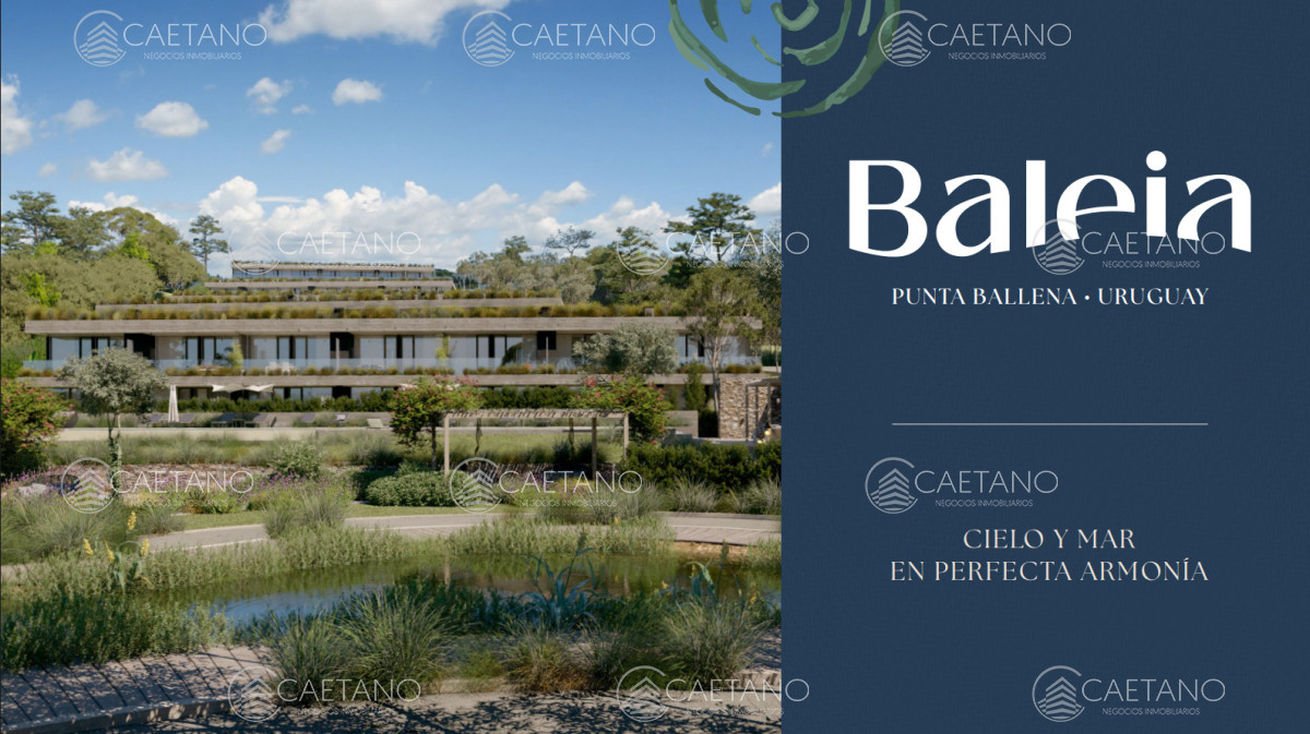 Venta apartamento duplex 2 dormitorios - Punta Ballena  - DMC17236A