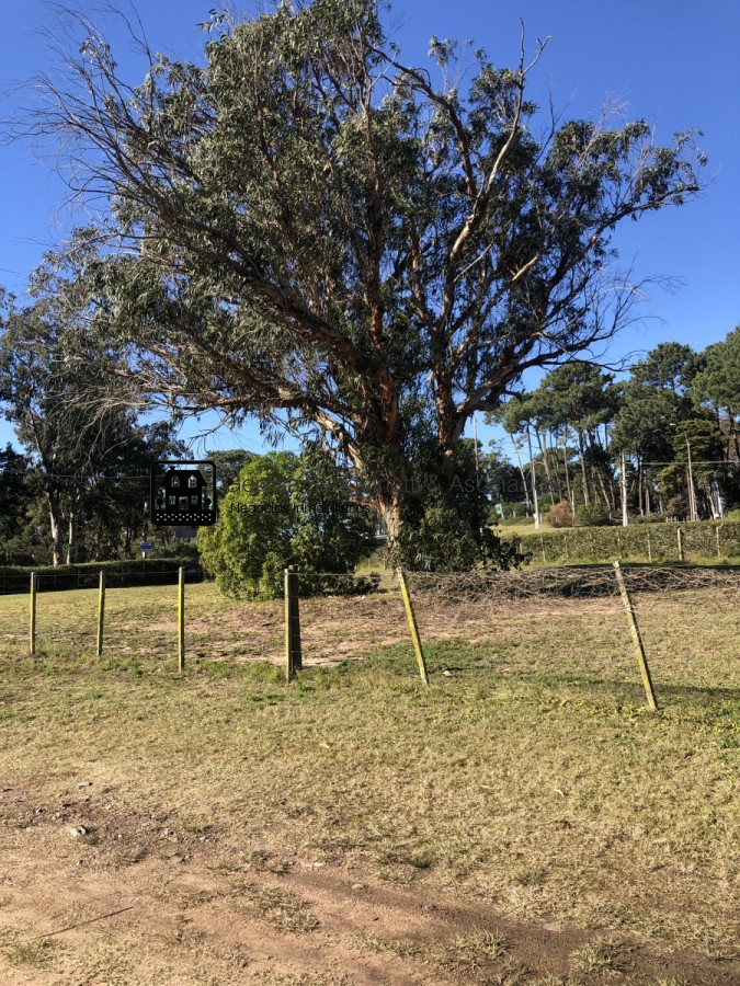 Terreno ID.1768 -  Terreno en Venta y  permuta. Gran oportunidad !!! Consulte !!! 
