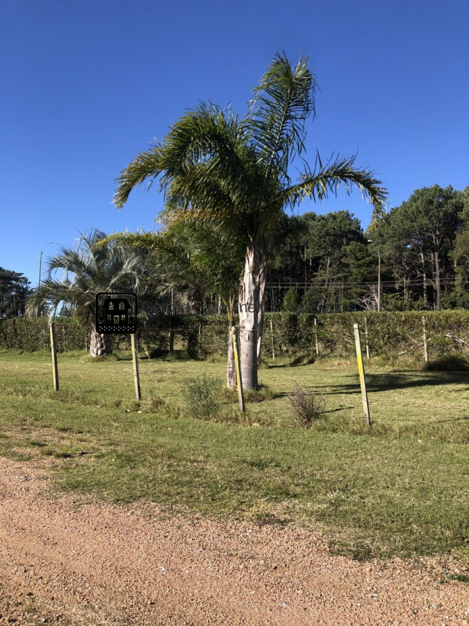 Terreno ID.1768 -  Terreno en Venta y  permuta. Gran oportunidad !!! Consulte !!! 