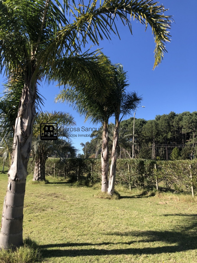 Terreno ID.1768 -  Terreno en Venta y  permuta. Gran oportunidad !!! Consulte !!! 