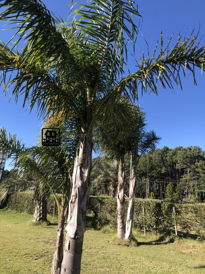 Terreno ID.1768 -  Terreno en Venta y  permuta. Gran oportunidad !!! Consulte !!! 