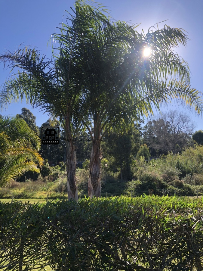 Terreno ID.1768 -  Terreno en Venta y  permuta. Gran oportunidad !!! Consulte !!! 